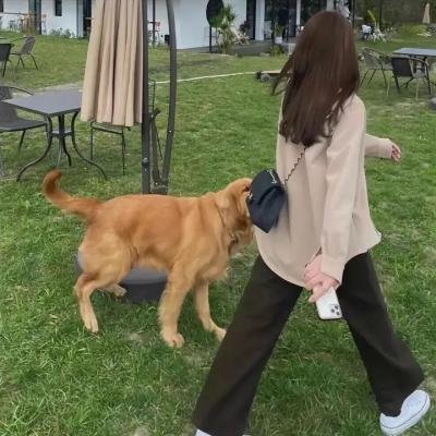 棋子